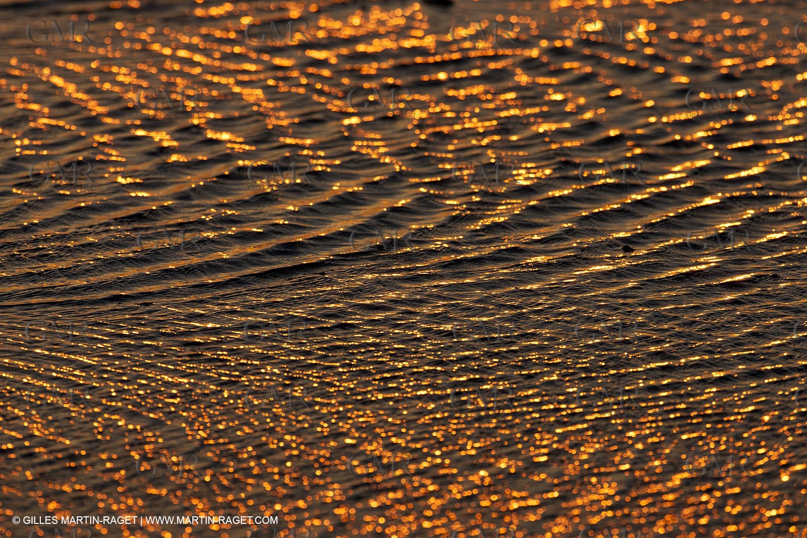 25 05 2011 - Les Saintes Maries de la Mer (FRA,13) - Fête des Gitans