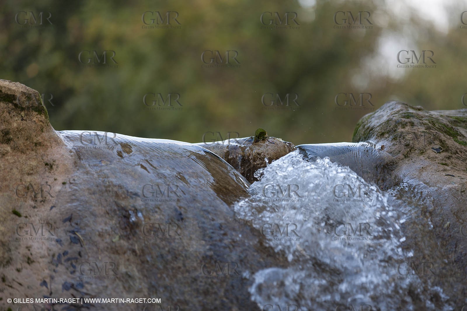 23 10 2012 - Gemenos (FRA) - Départemental Park of Saint Pons valley
