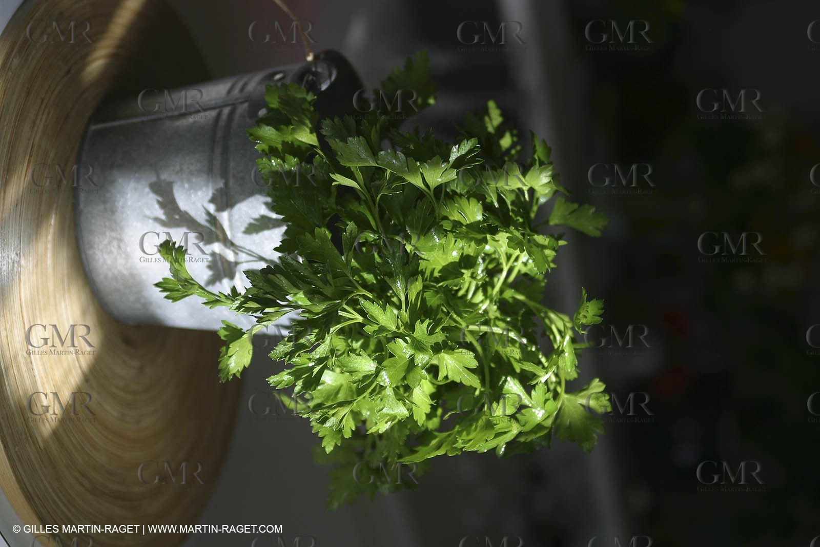 Cooking herbes from Provence - Garlic and Parsley