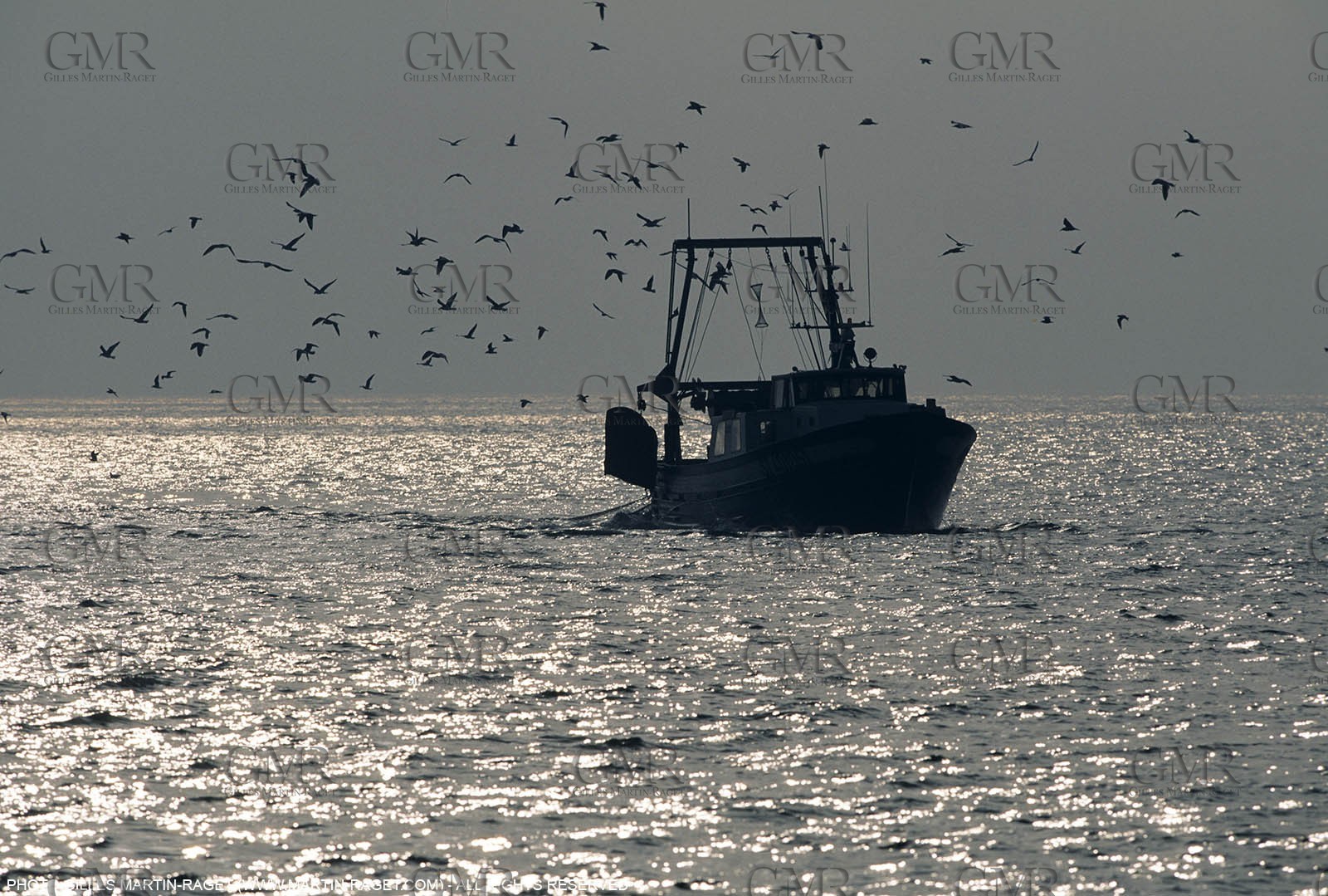 Marseille (FRA,13), Fishing