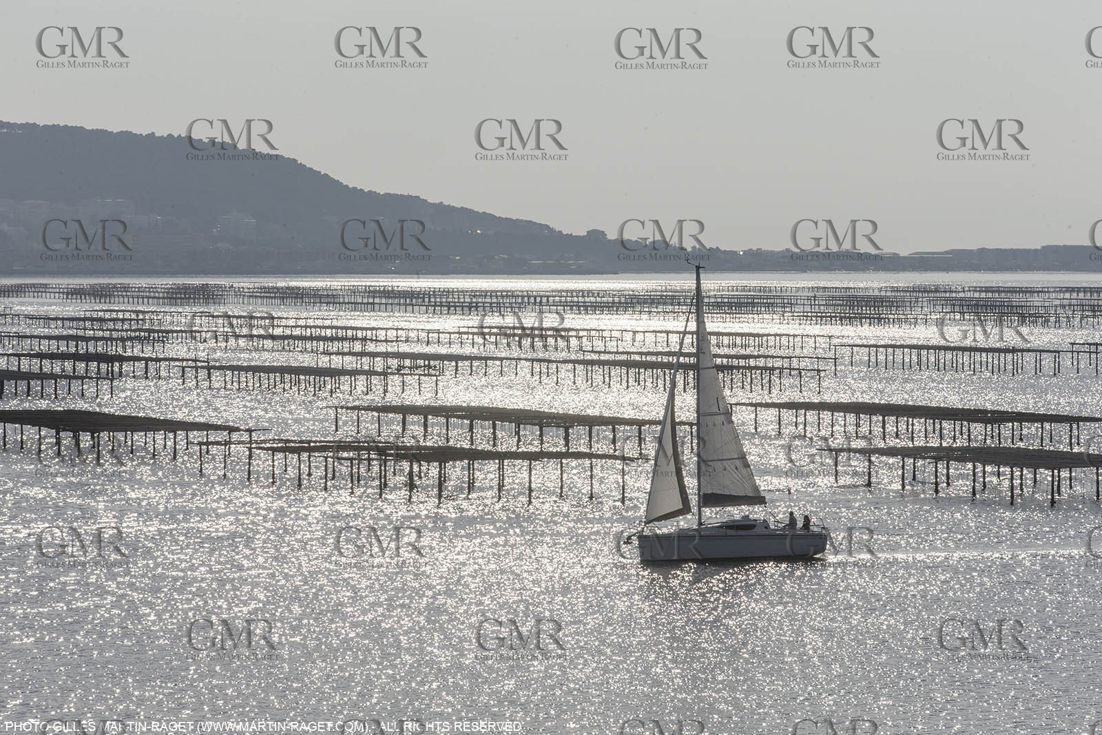 28 01 2016, Sète (FRA,34), Cruising on Thau Basin