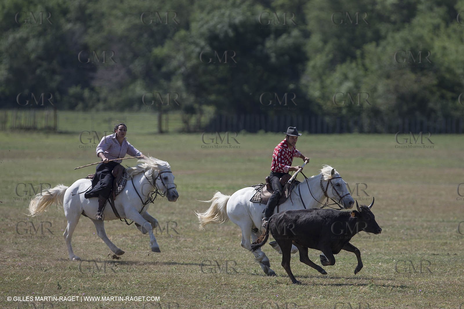 Course de Satin 2014 - Arles (FRA,13) - 1 06 2014**The satin race - Arles (FRA,13) - 01 06 2014