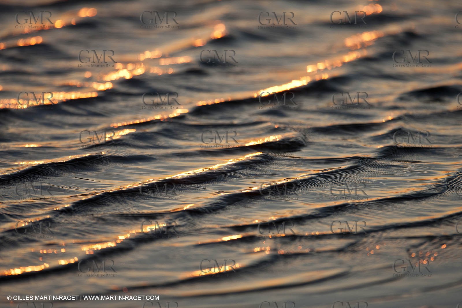 25 05 2011 - Les Saintes Maries de la Mer (FRA,13) - Fête des Gitans