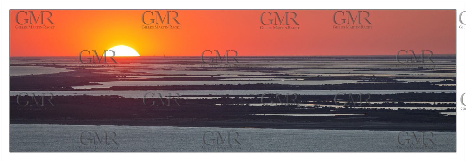 Camargue