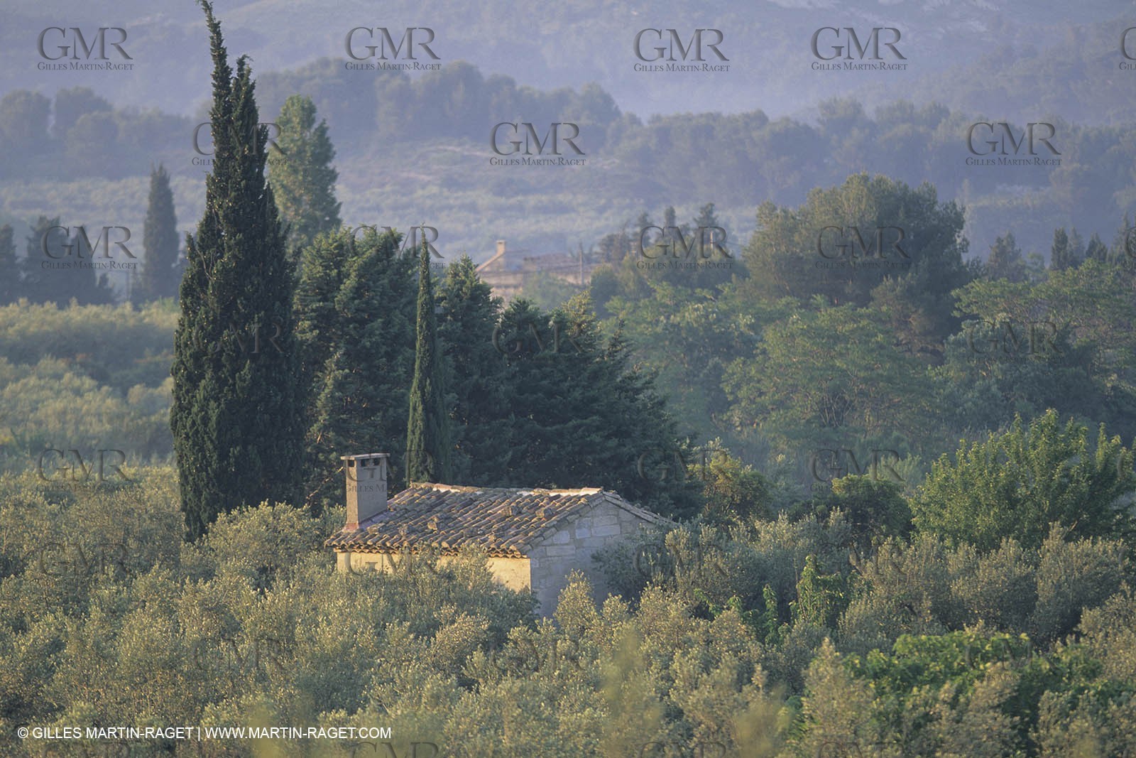 France, south, Alpilles landscapes