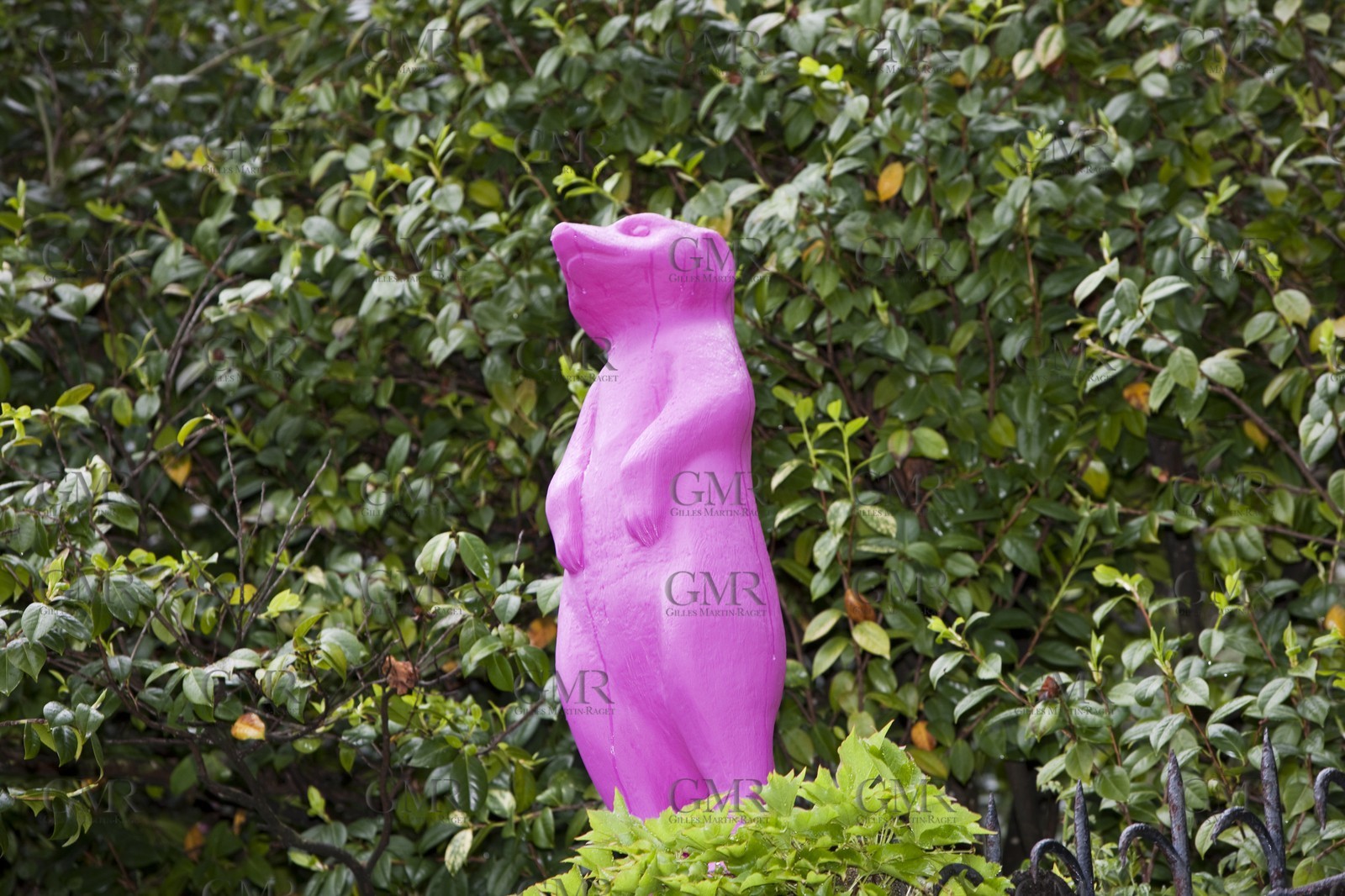 06 05 2010 - Portofino (ITA) - Nespresso Cup