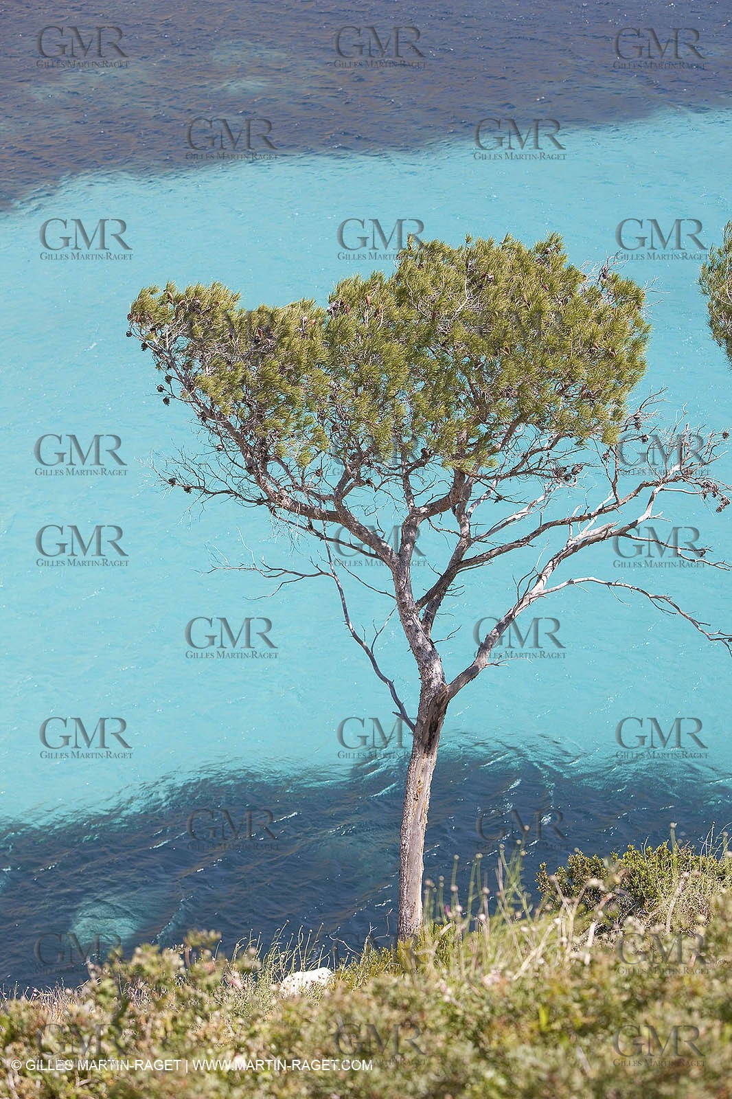 27 05 2009 - Marseille (FRA, 13) - Les Calanques - Sormiou