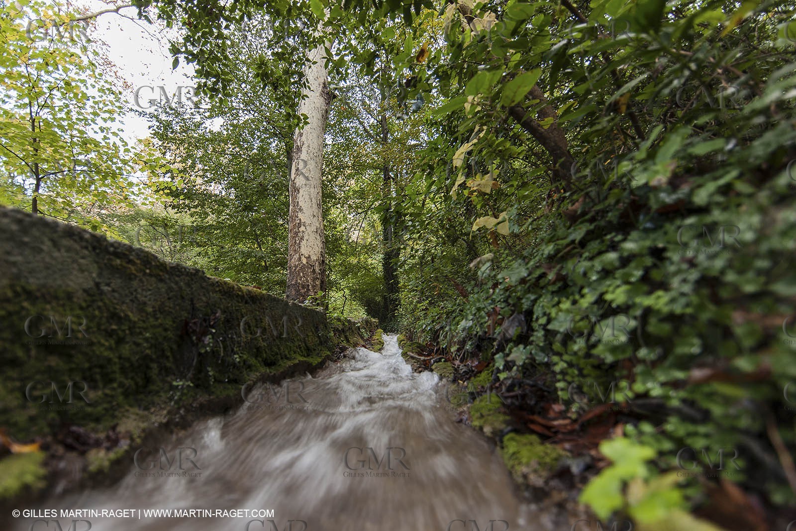 23 10 2012 - Gemenos (FRA) - Départemental Park of Saint Pons valley