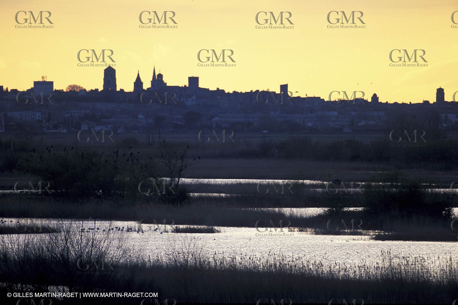Ponds near Arles