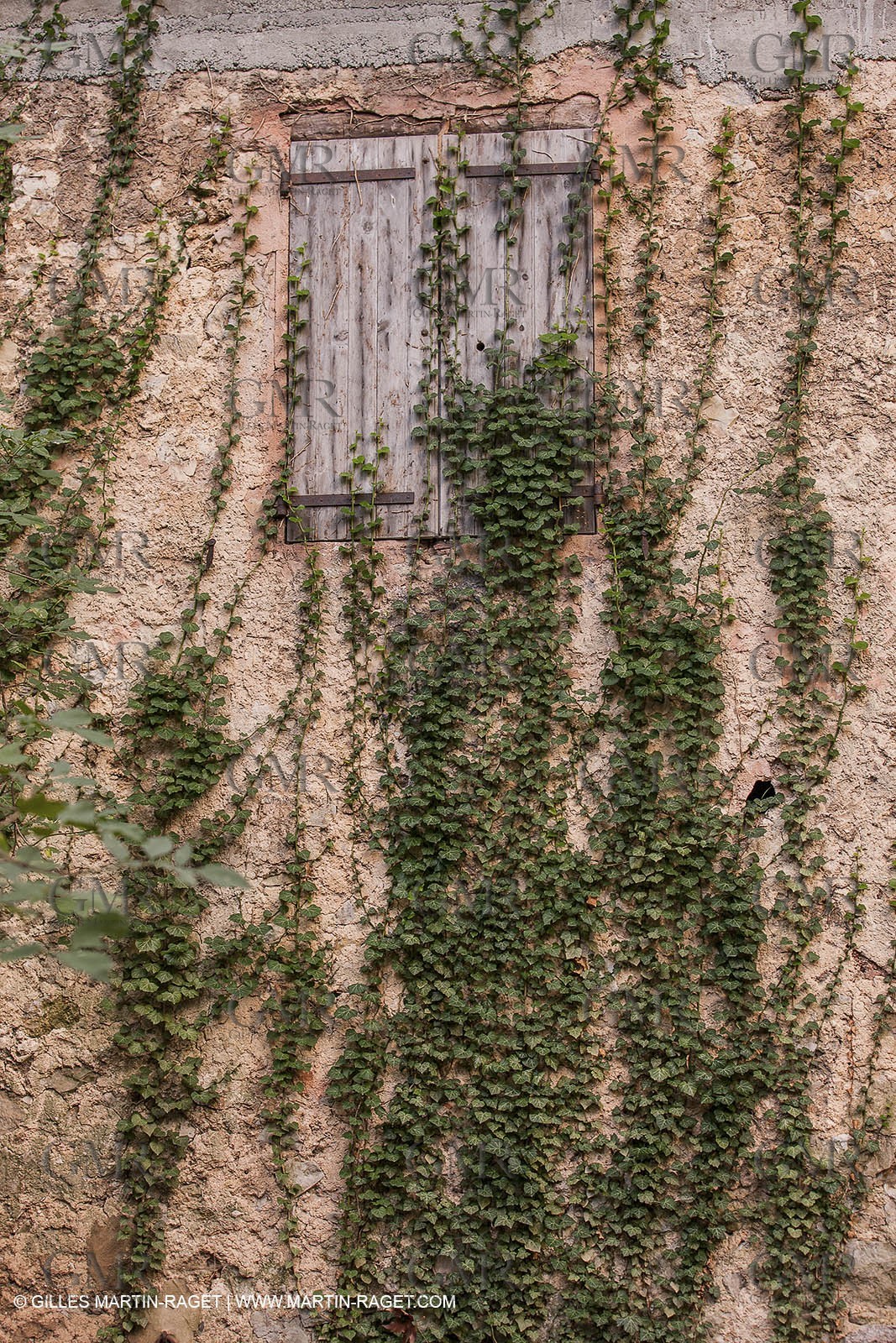 23 10 2012 - Gemenos (FRA) - Départemental Park of Saint Pons valley