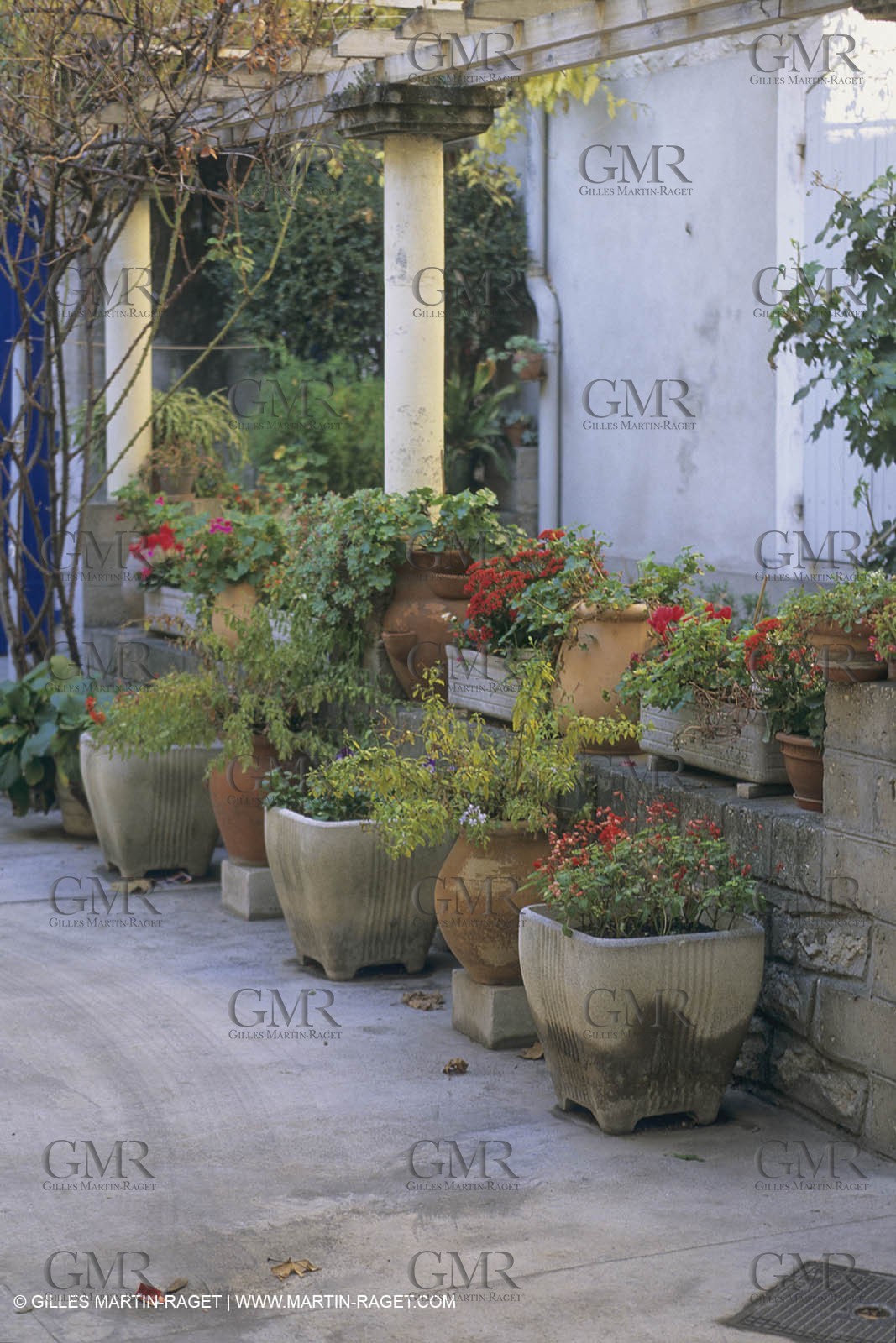 France, Provence, Saint-Rémy de Provence