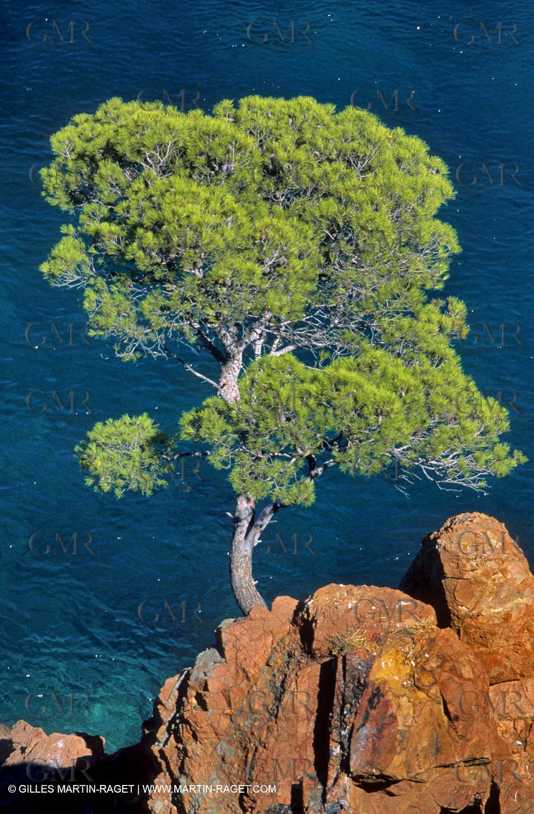 Littoral de l'Esterel (FRA, 06) - Côte d'Azur