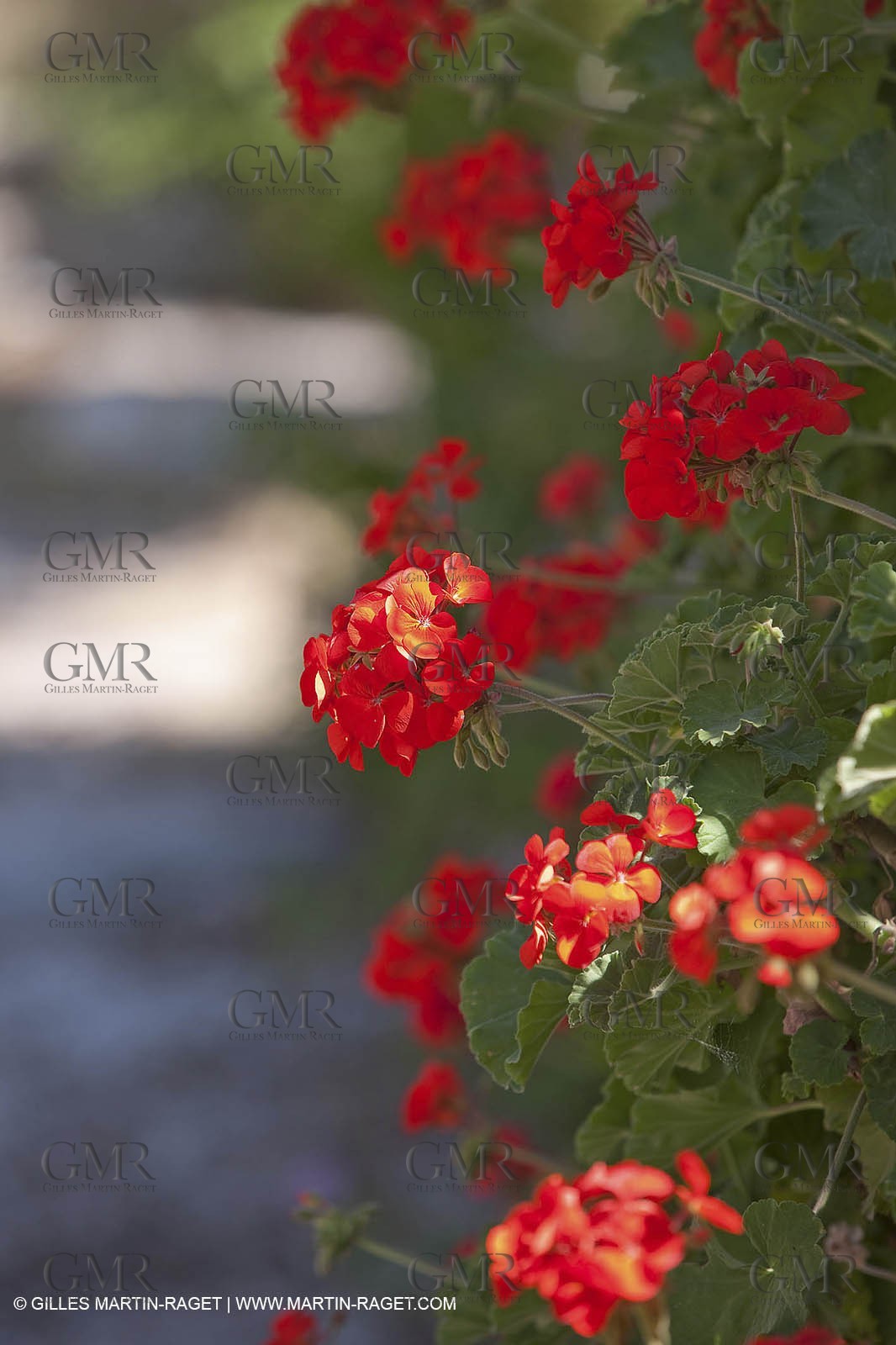 27 05 2009 - Marseille (FRA, 13) - Les Calanques - Sormiou