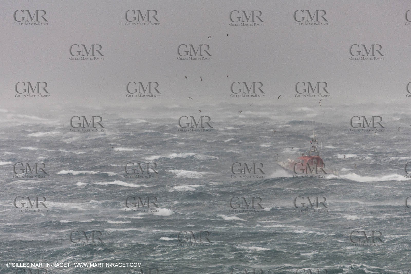 28 10 2012 - Marseille (FRA,13) - MIstral Force 10, La Bonne Mère, vedette SNSM des marins pompiers