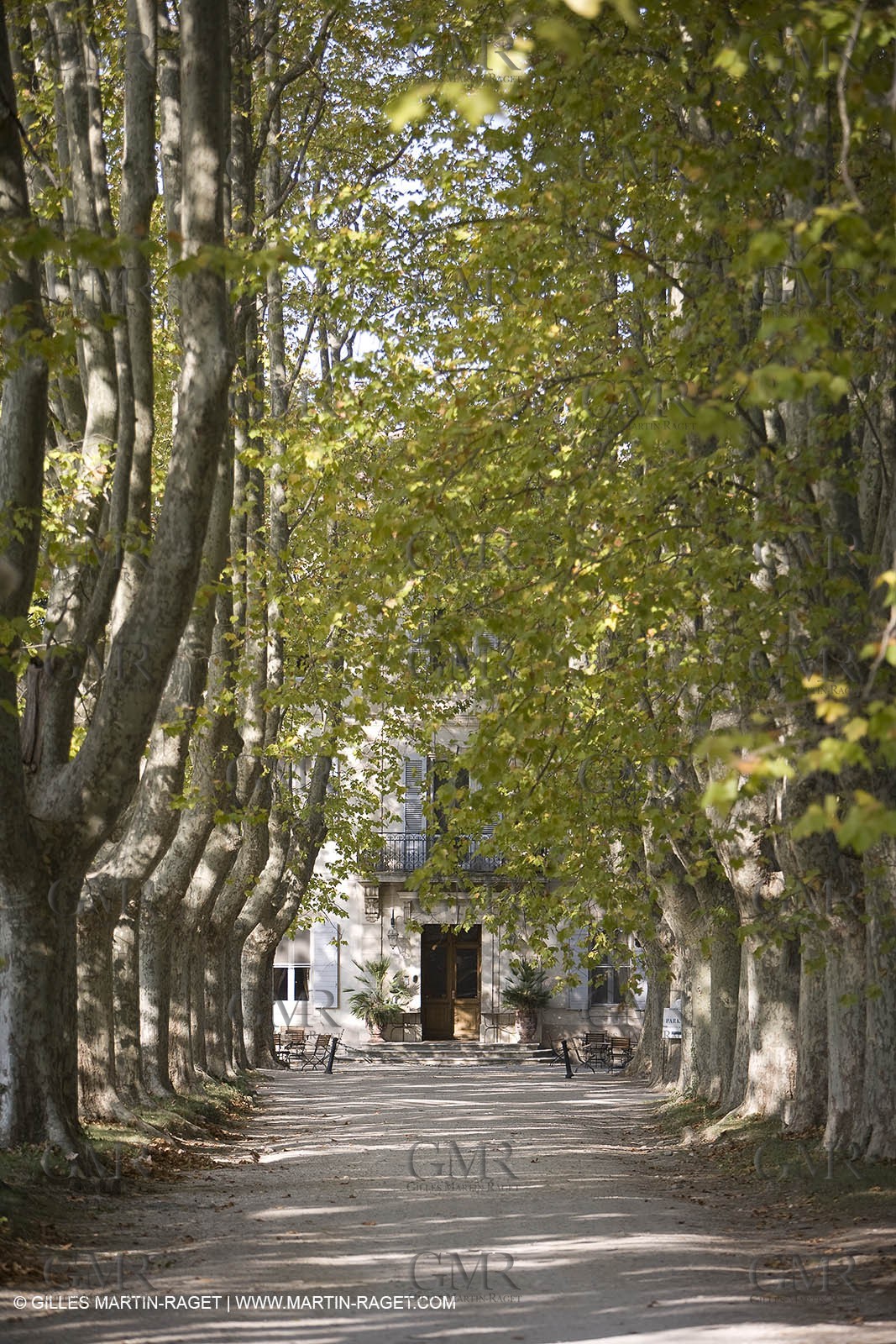 28 10 2007 - St Rémy de Provence (FRA,13) - Chateau des Alpilles