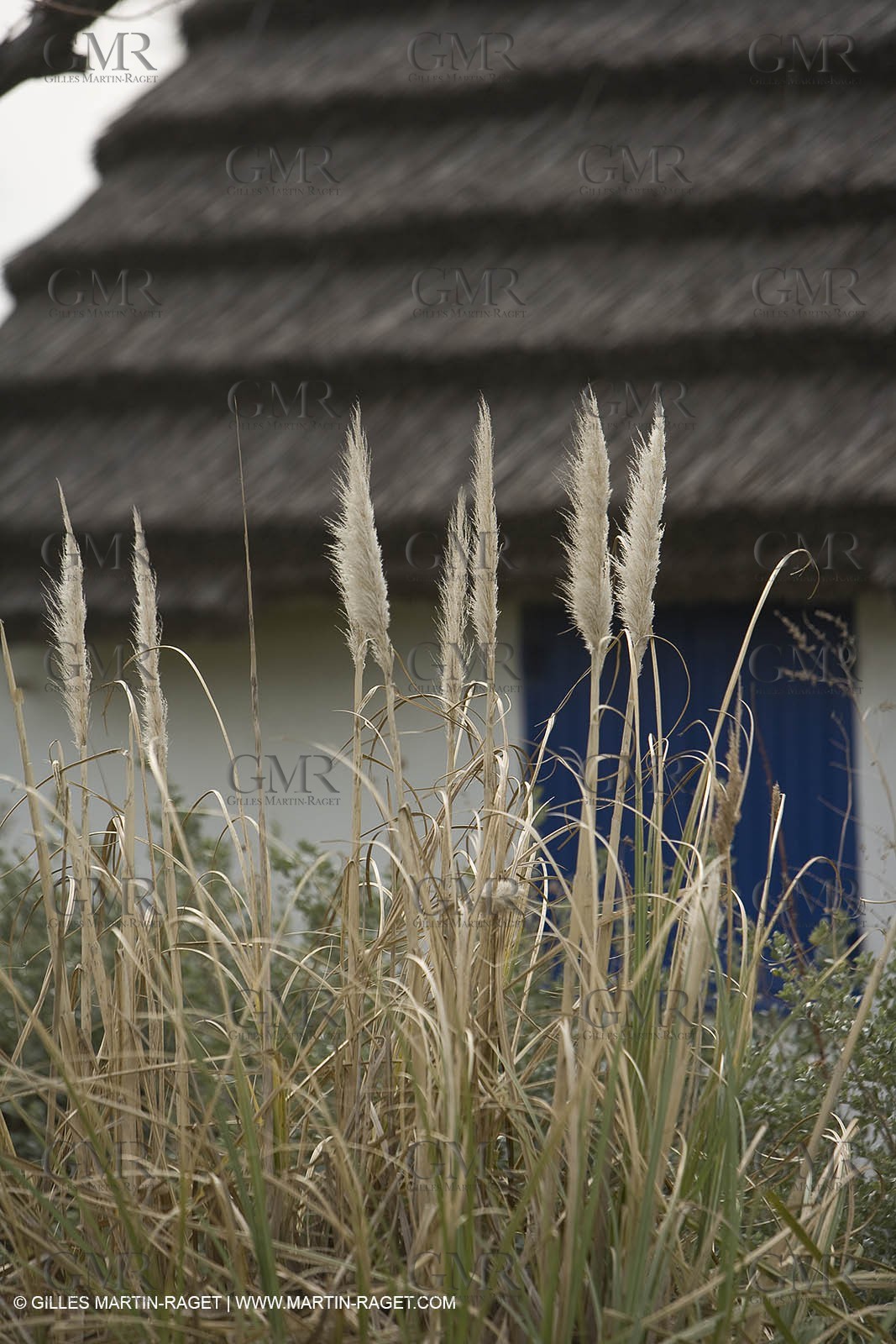 16 02 2008 - Les Saintes Maries de la mer (FRA, 13) - gardians cants