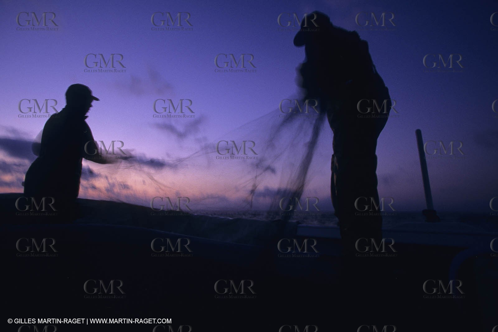 France, Provence, Pêche, barques, pointus, pêheurs, poissons