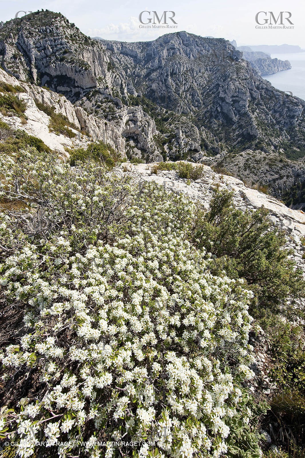 18 04 2009 - Marseille (FRA, 13) - Les Calanques - Vallon St Michel - Le pas des Géants