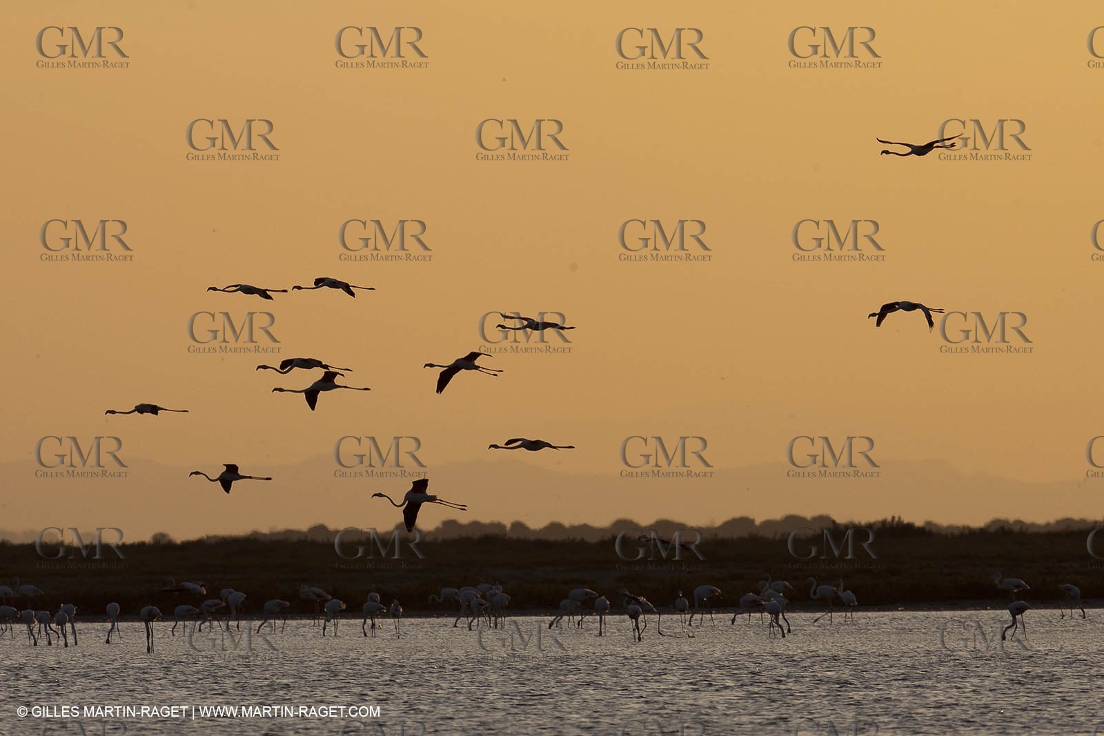 25 05 2011 - Les Saintes Maries de la Mer (FRA,13) - gypsies gathering