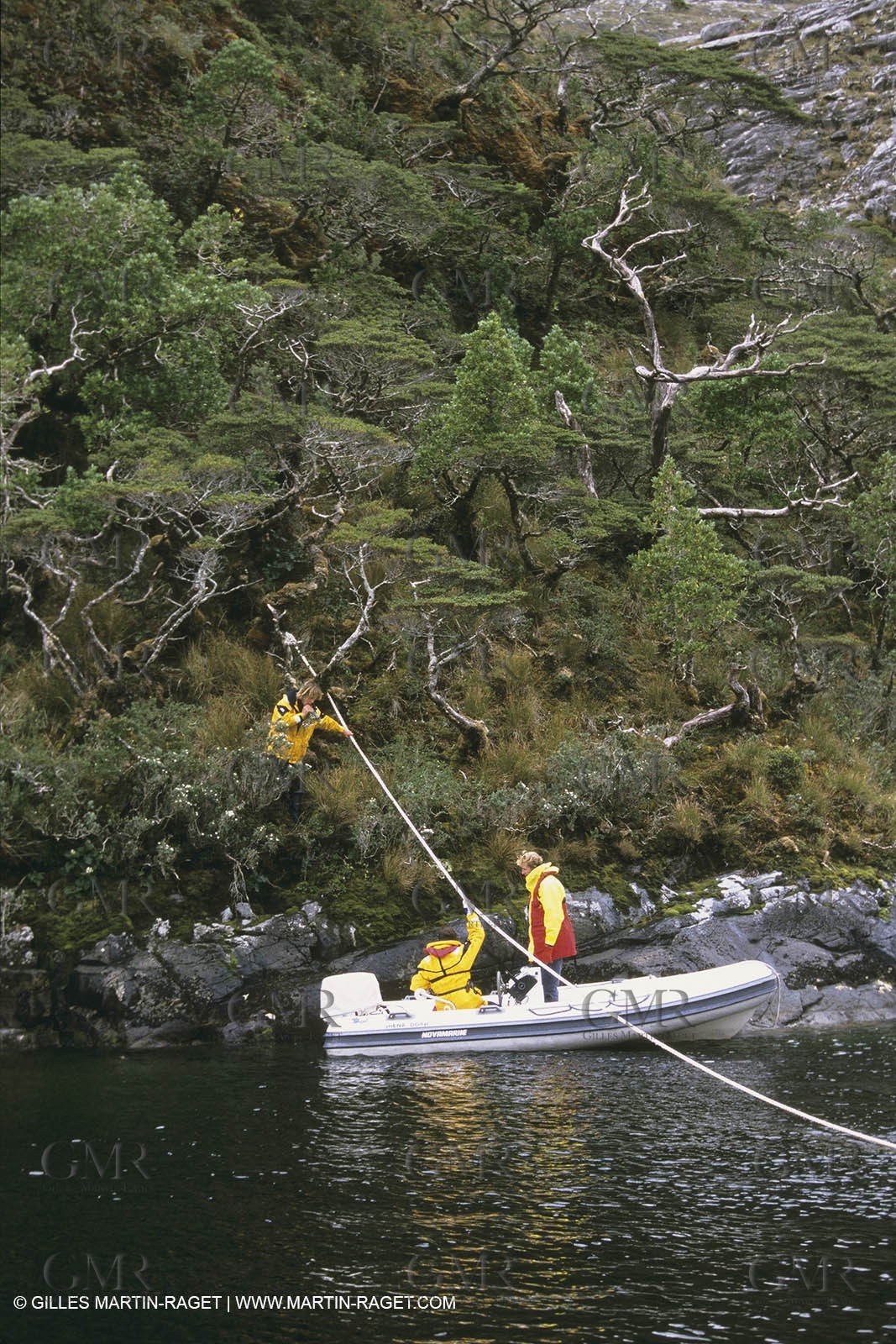 Sailing, Classic Yachts, Shenandoah