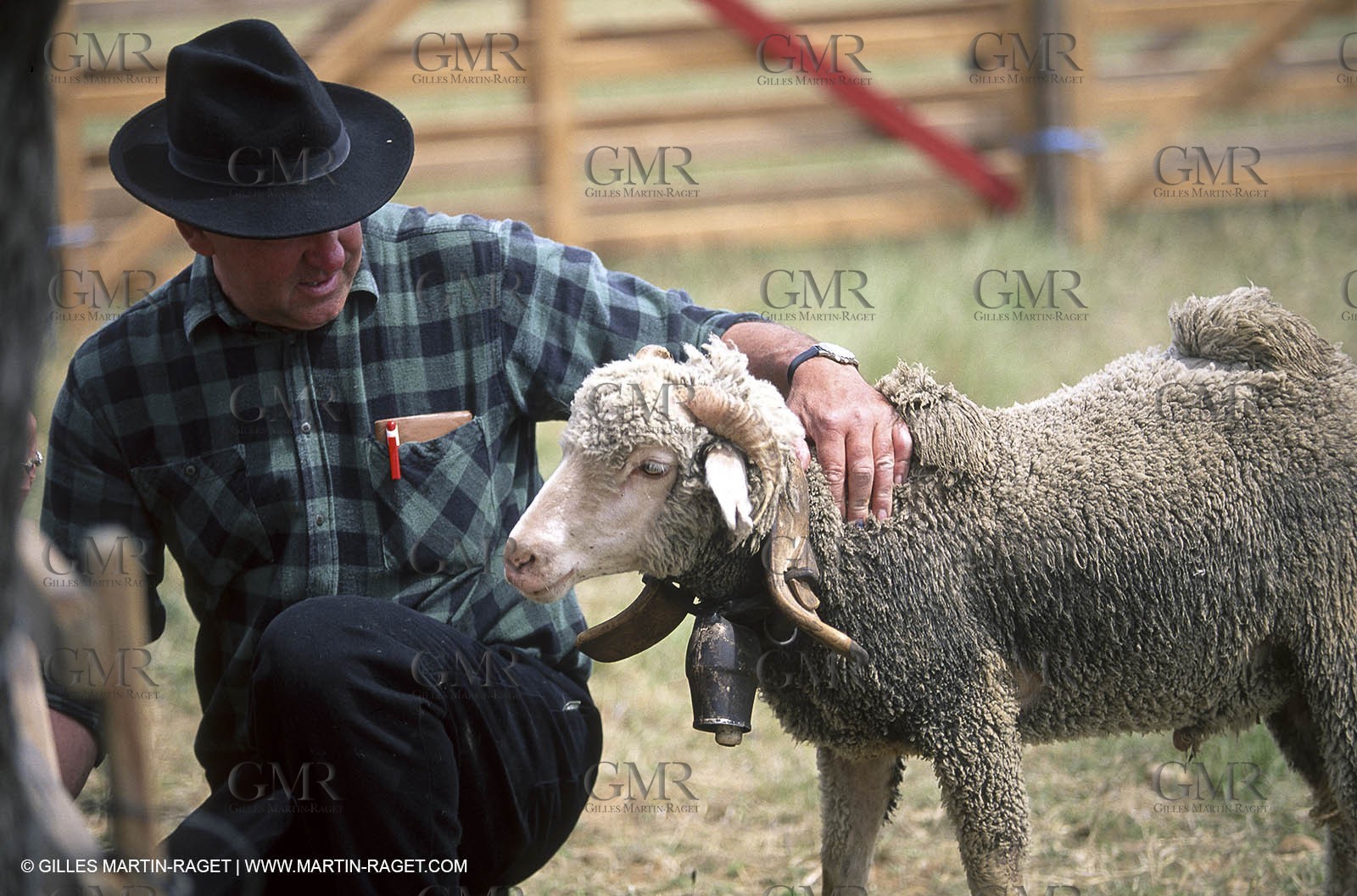 Saint Rémy de Provence (FRA,13) - Sheep stocks migration Fest