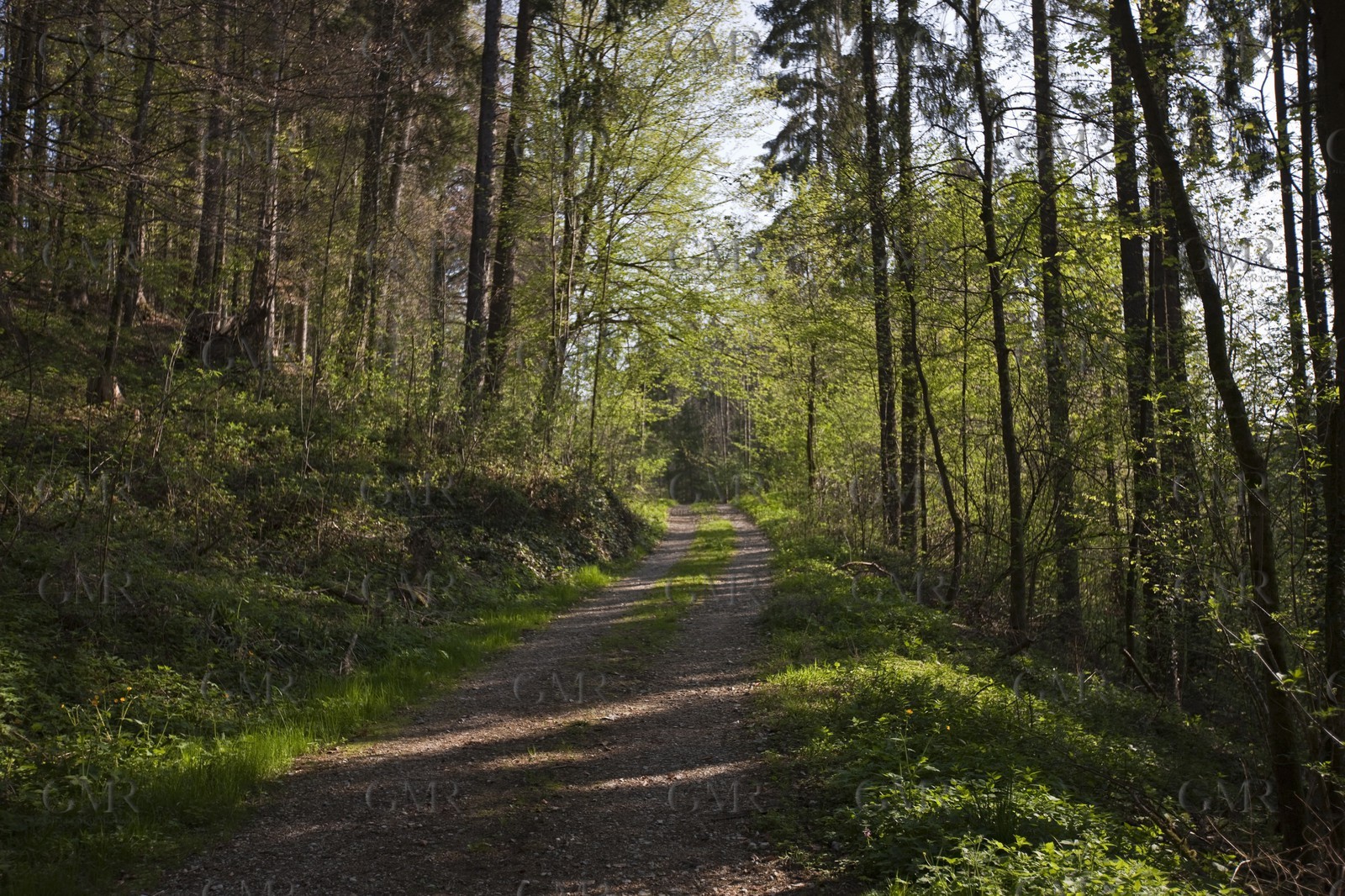 27 04 2010 - Gmunden (Lake Traunsee, Austria) - RC44 World Championship 2010 - BMW ORACLE Racing - Training