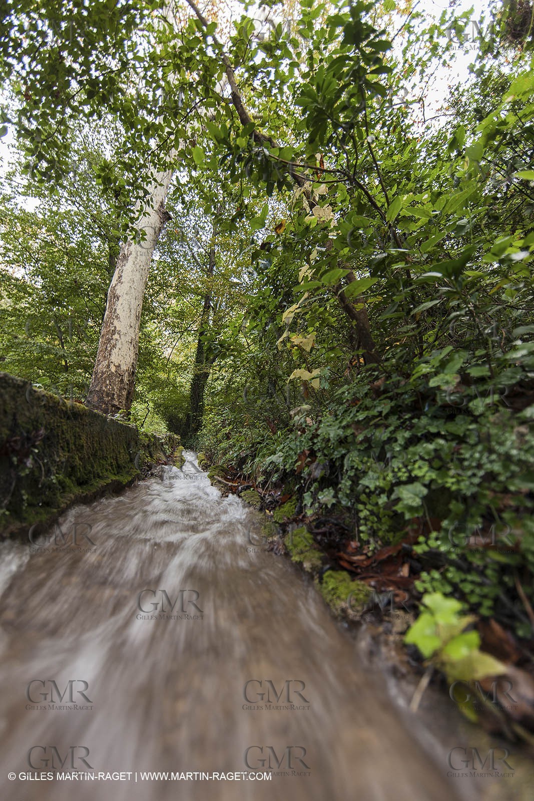 23 10 2012 - Gemenos (FRA) - Parc Départemental de la vallée de Saint Pons