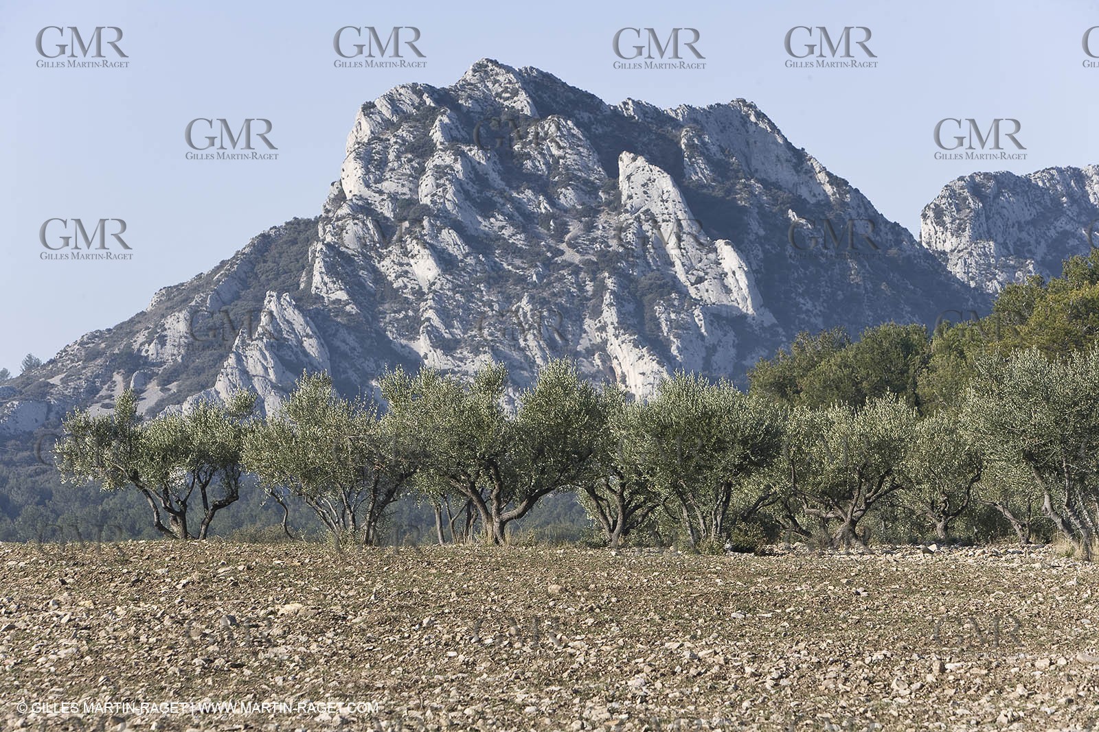 09 02 2008 - Les Baux de Provence (FRA, 13) - Alpilles hills landscapes