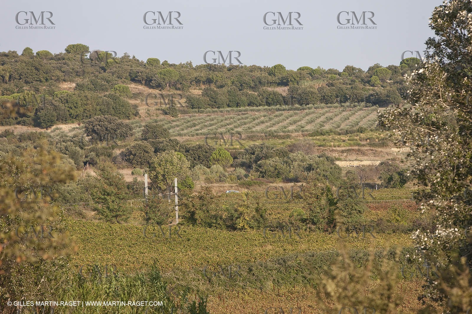 25 09 2009 - Sernhac (FRA,30)