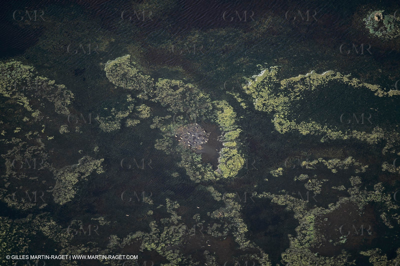 France, Provence, Camargue, Nature, plage, sable