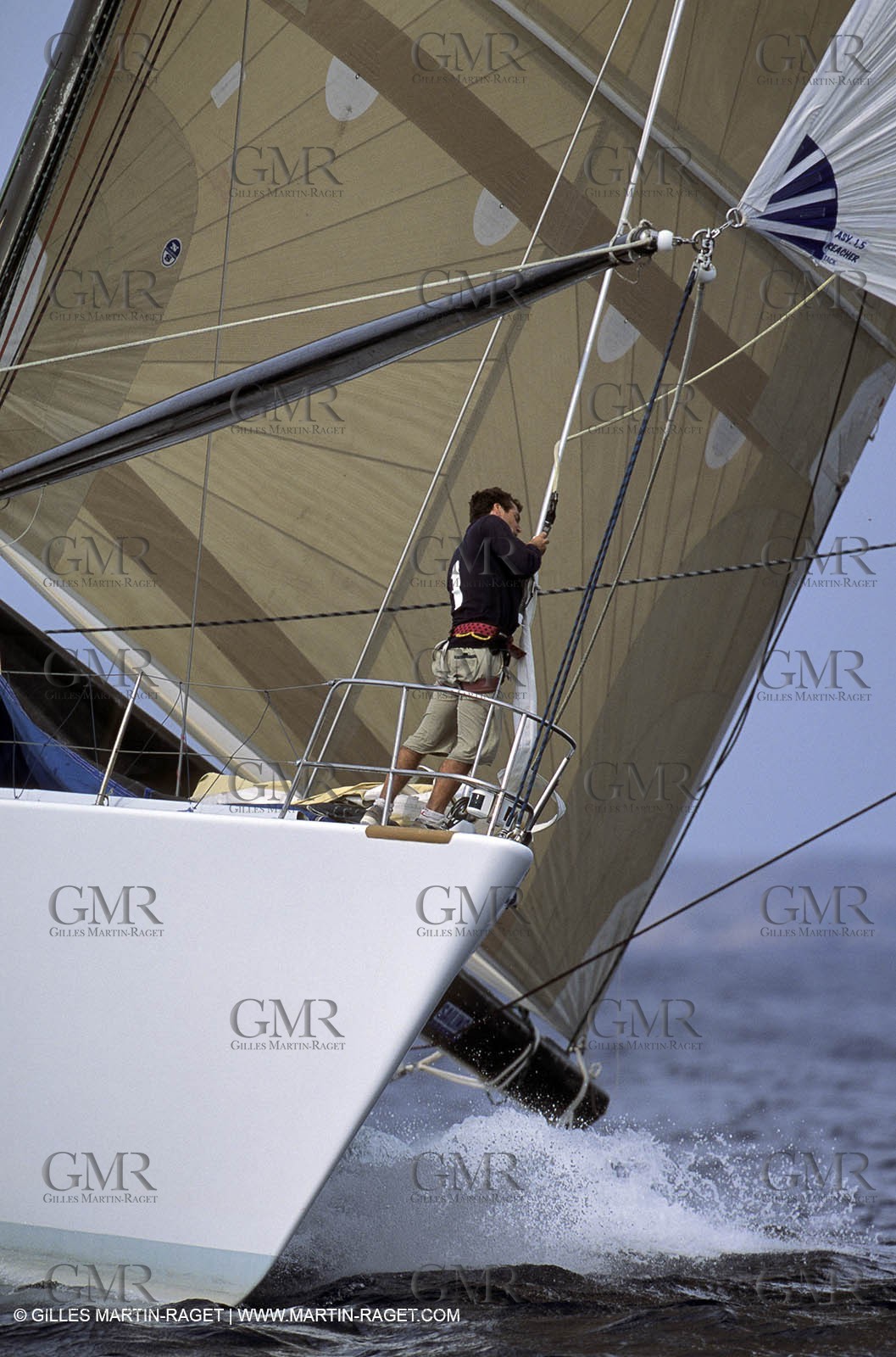 racing maxi yachts