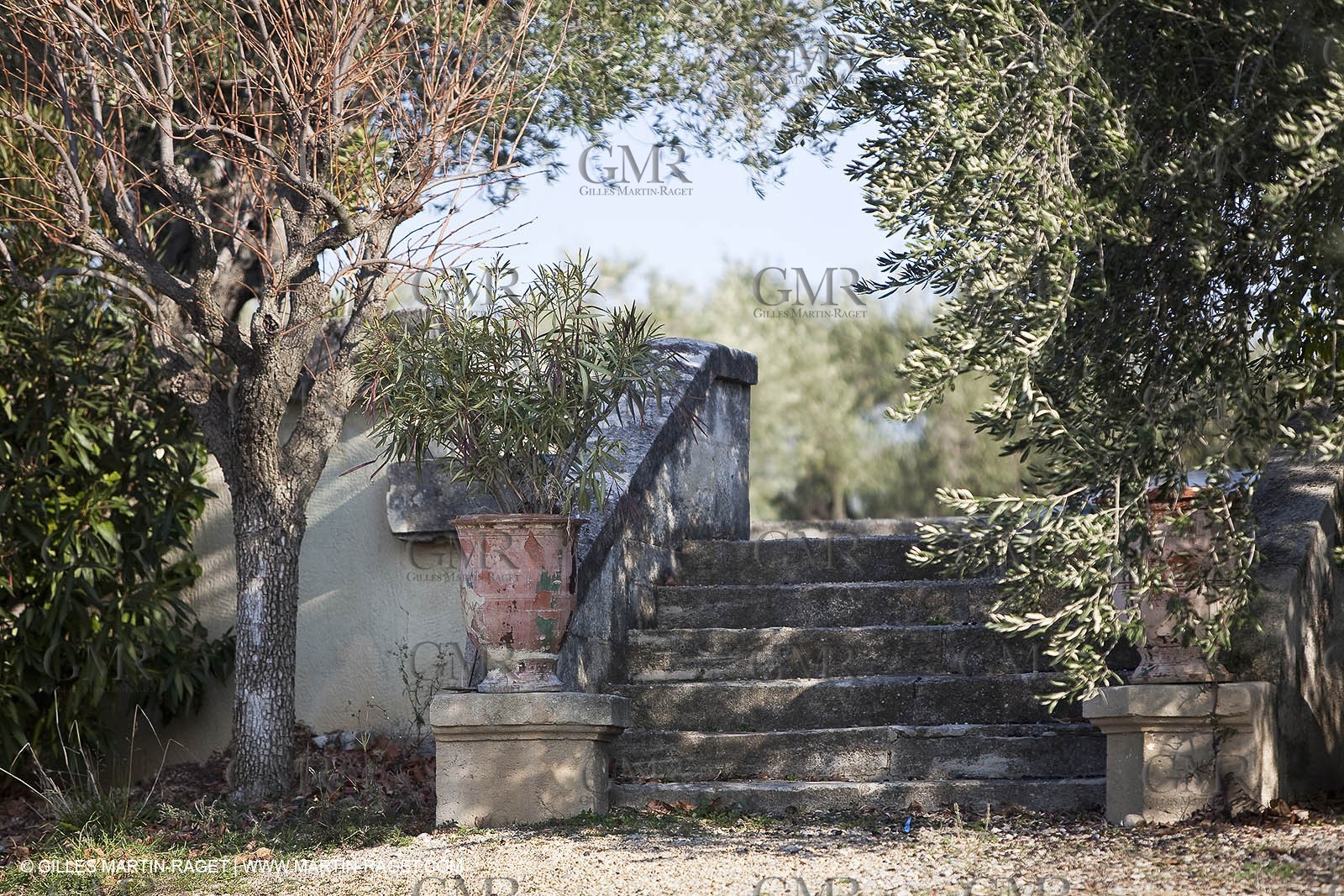 Saint Drézéry (FRA, 34), Domaine de Puech Haut