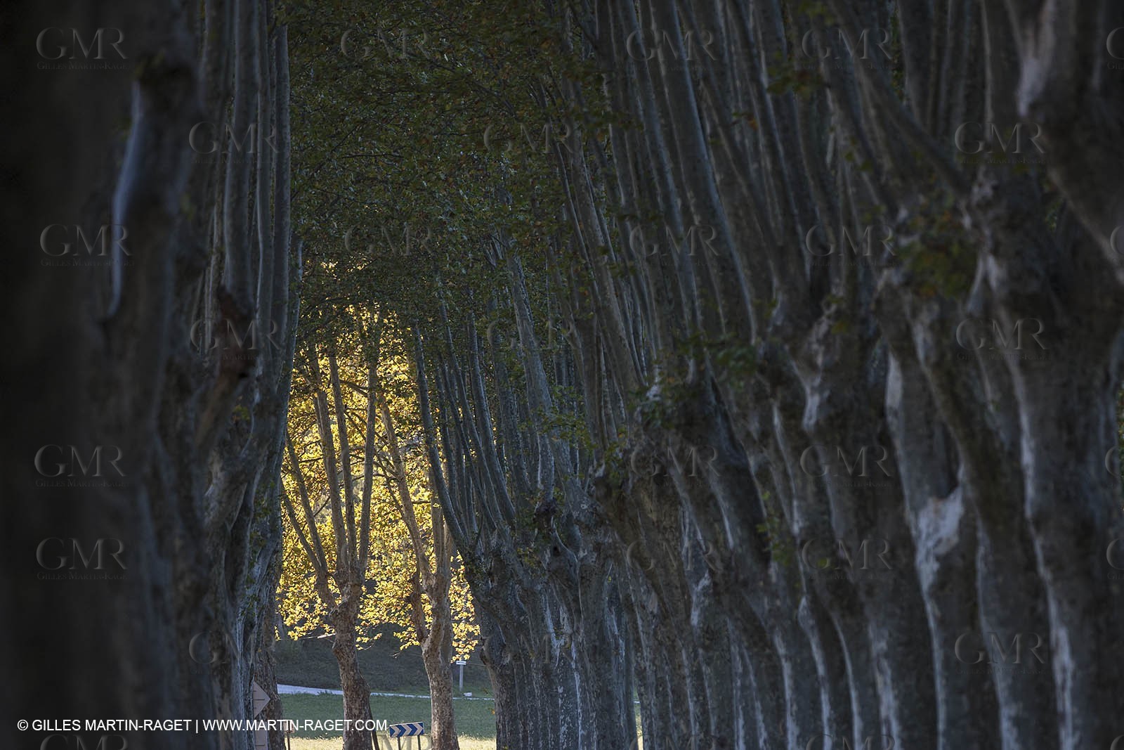 15 10 2012 - Encrême valley, near Céreste