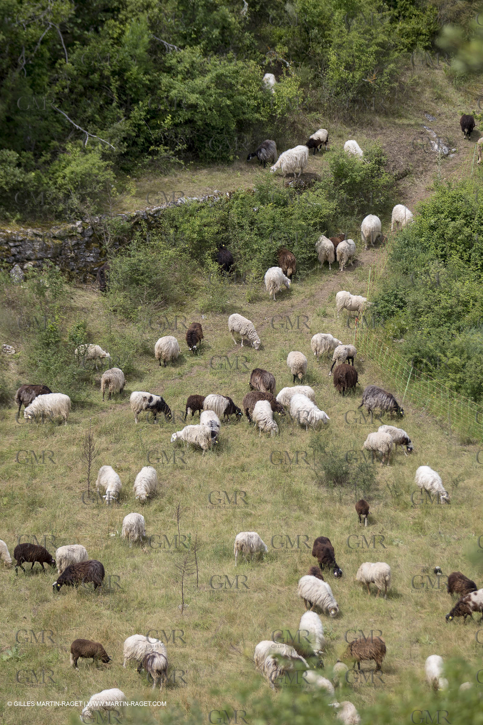 10 06 2018, Sivergues (FRA,84)
