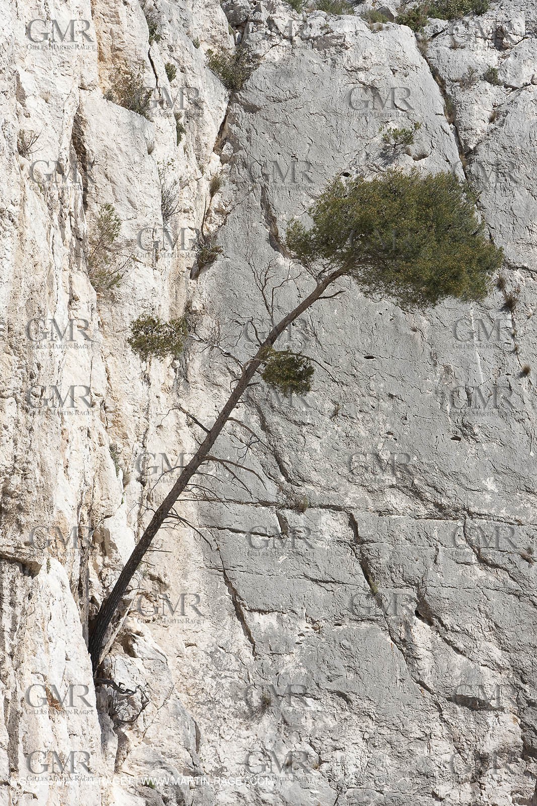 26 03 2009 - Marseille (FRA, 13) - Les Calanques - Sugiton - Les toits cliff