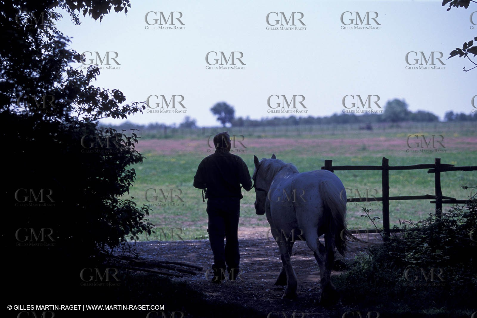 Arles - Camargue gardians (cow boys) at work