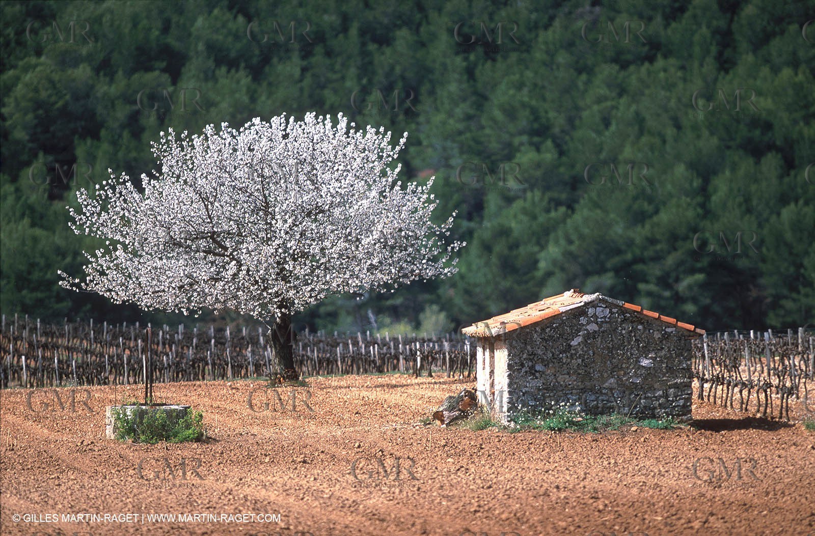 Aix en Provence surroundings