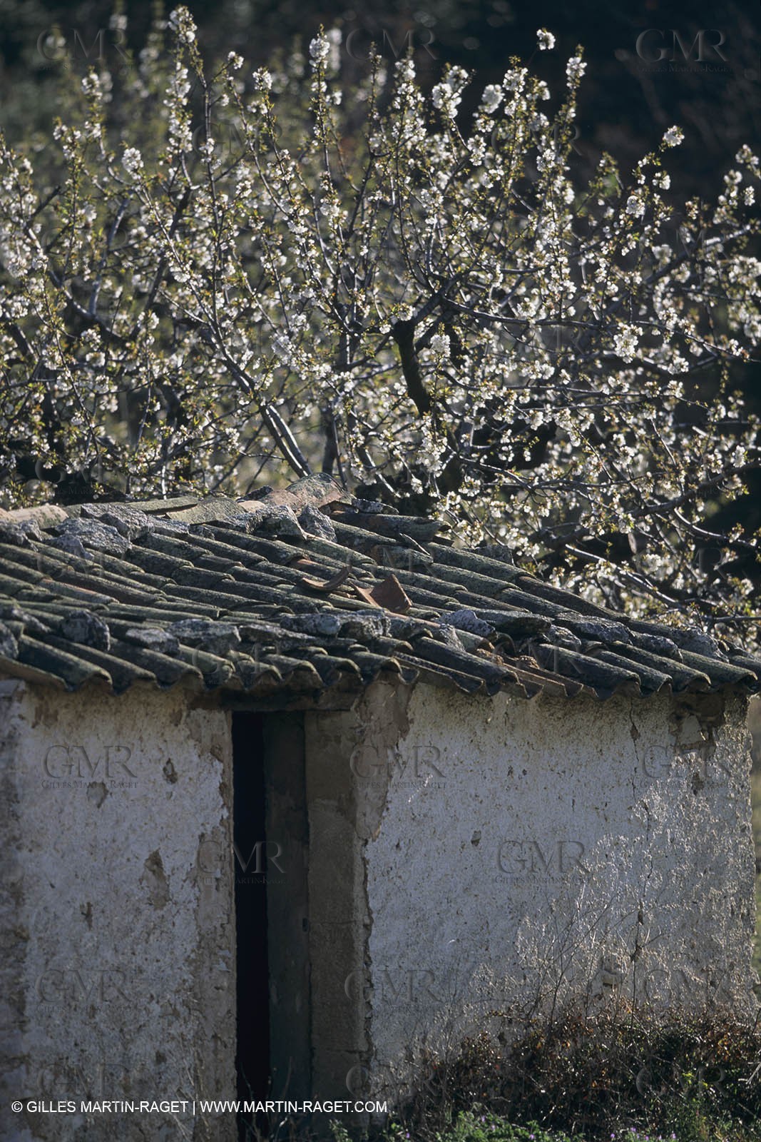France, Provence, Lubéron