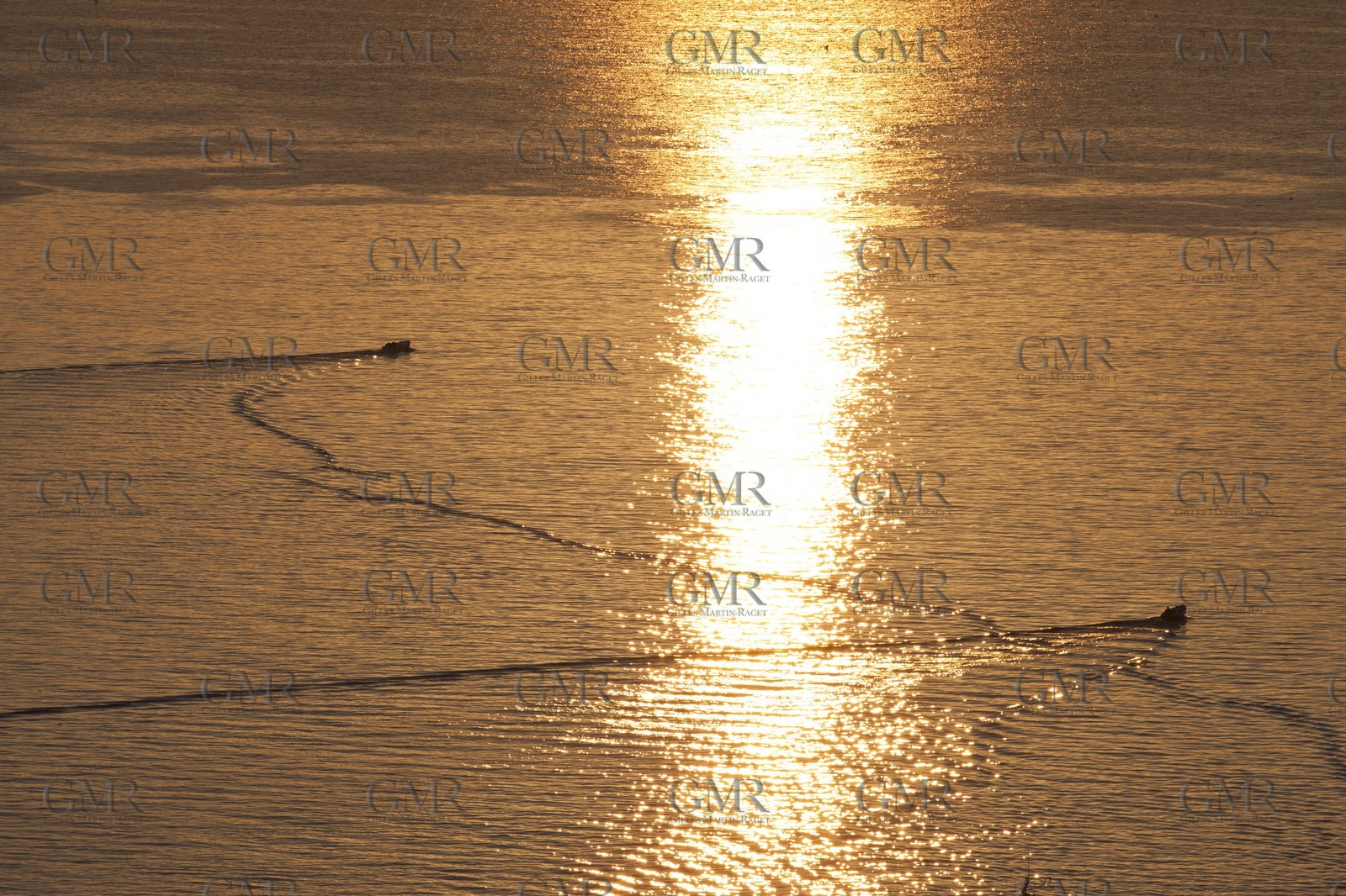 24 02 2012 - Napoli (ITA) - 34th America's Cup - America's Cup World Series Naples 2012 - As seen in Napoli