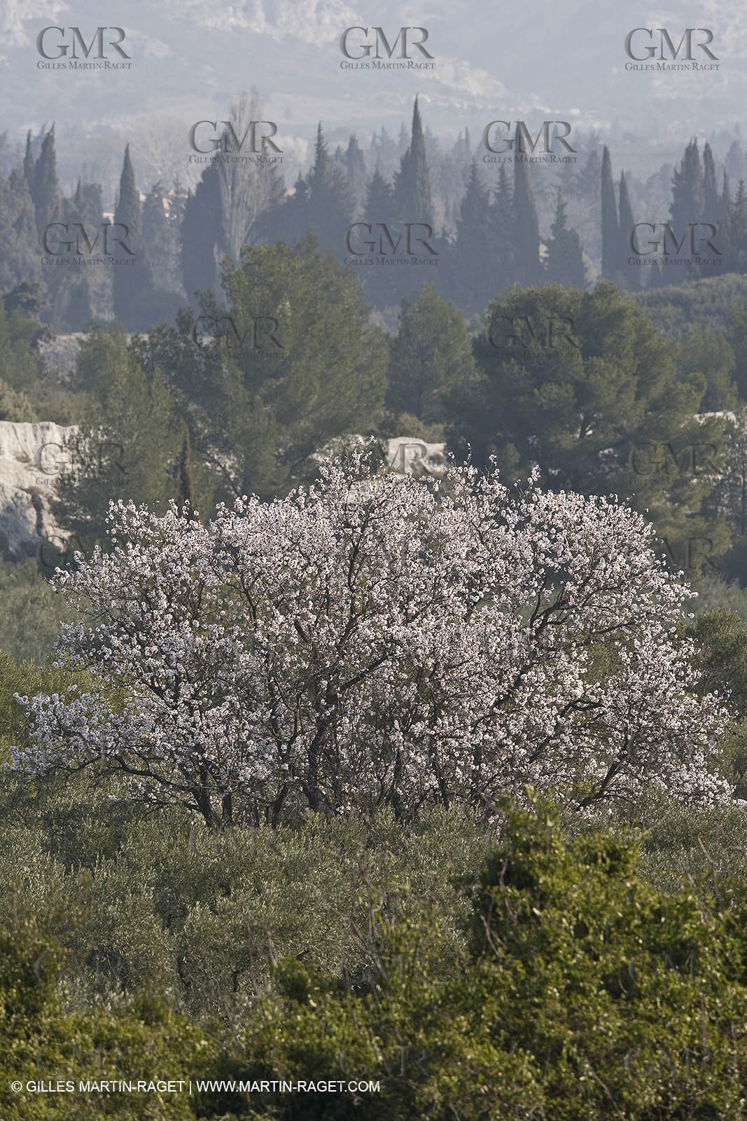 16 02 2008 - Les Baux de Provence (FRA, 13) - Alpilles hills landscapes