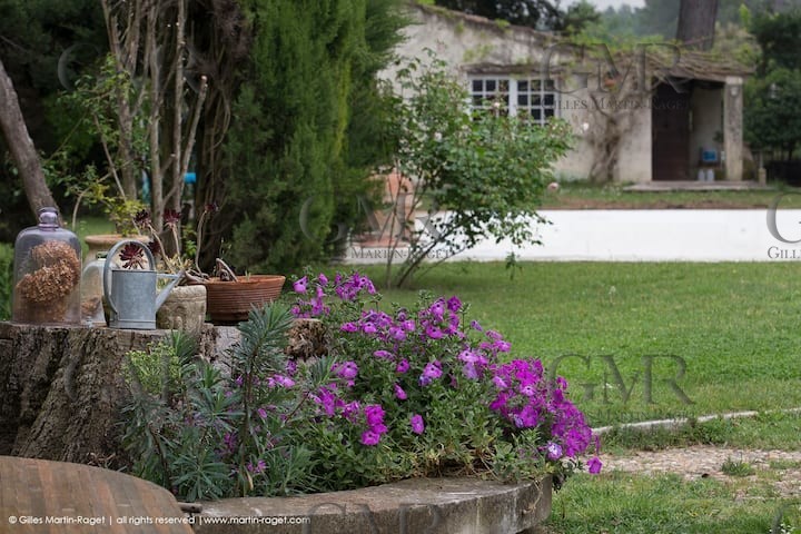 467e771d-a759-4df0-b12e-d8aa82ba5800