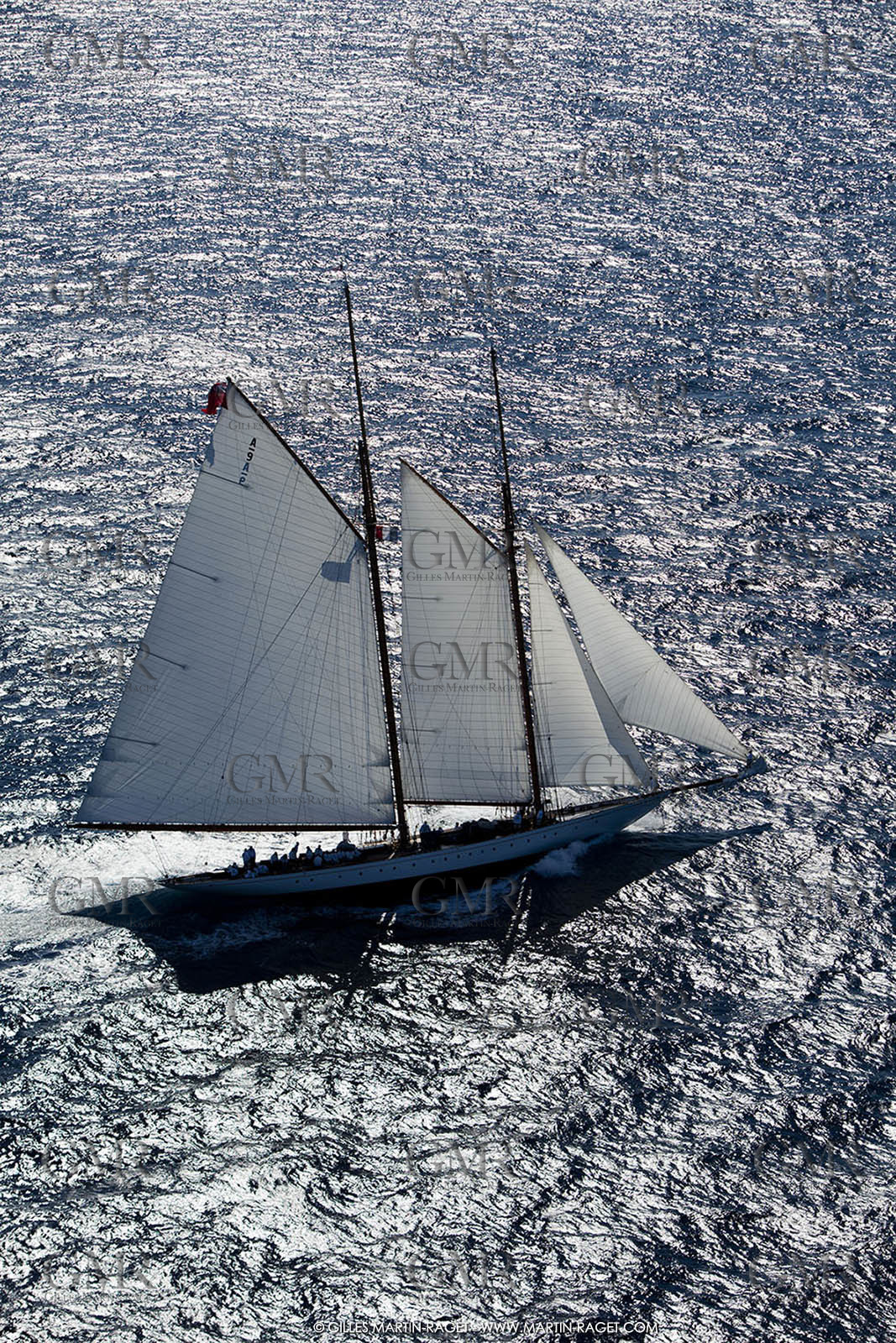 23 09 2010 - Saint Tropez (FRA,13) - Voiles de Saint Tropez 2010 - Elena