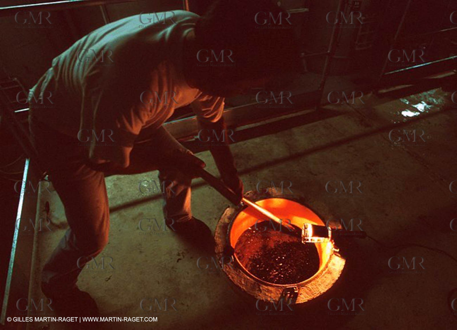 Wine - vineyards - Harvest