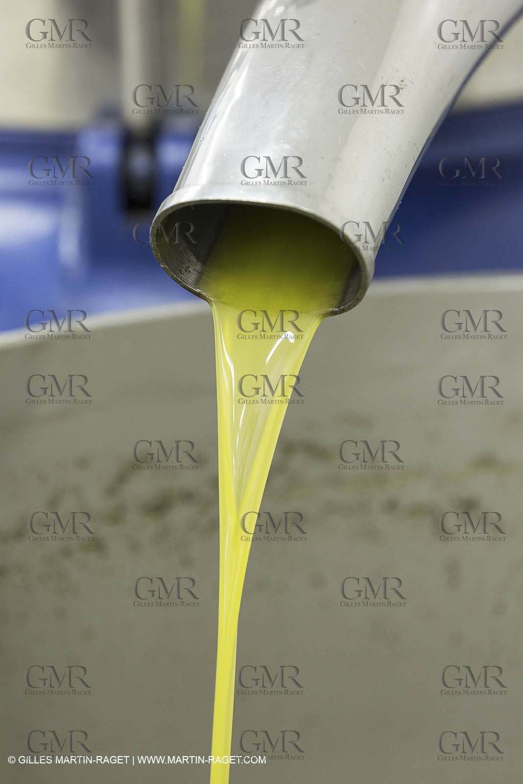 22 11 2012 - Fontvieille (FRA,13) - Olive oil making at Bedarrides olive oil mill