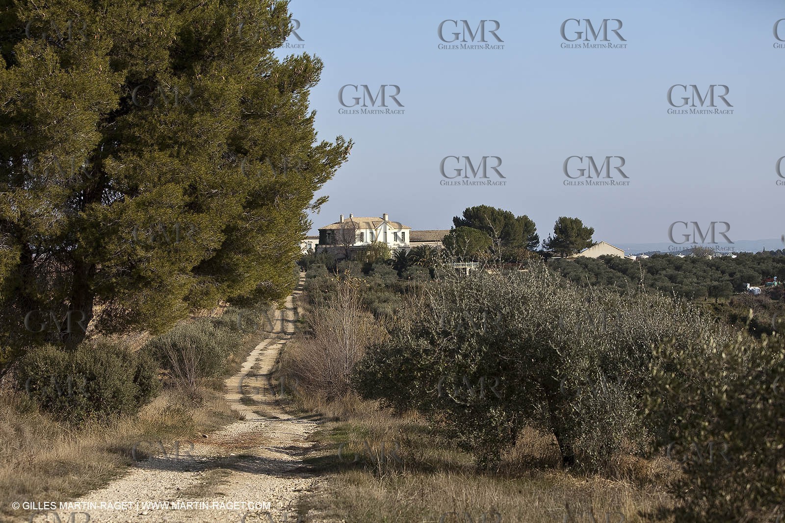 Saint Drézéry (FRA, 34), Domaine de Puech Haut