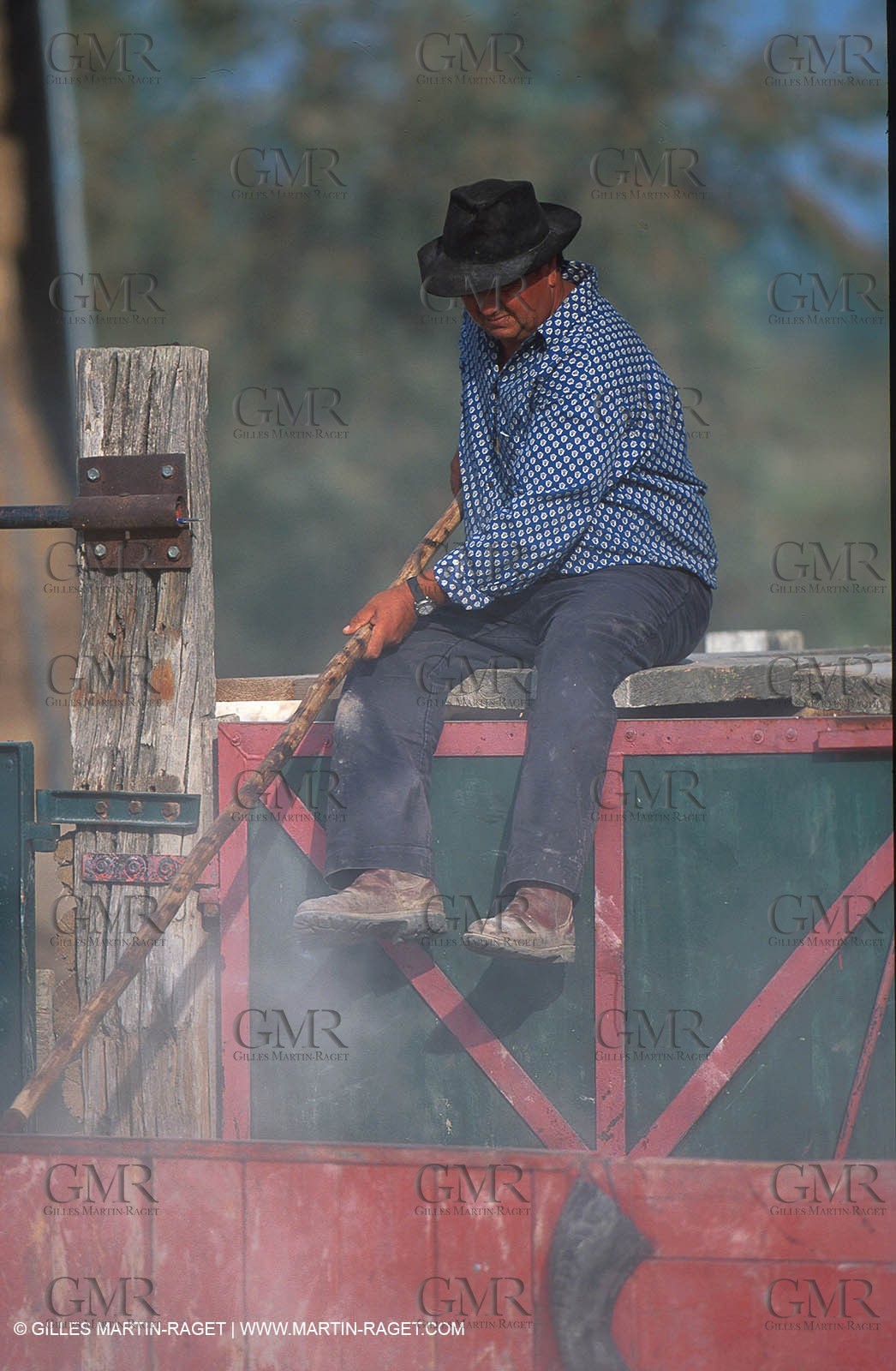 Arles - Camargue gardians (cow boys) at work
