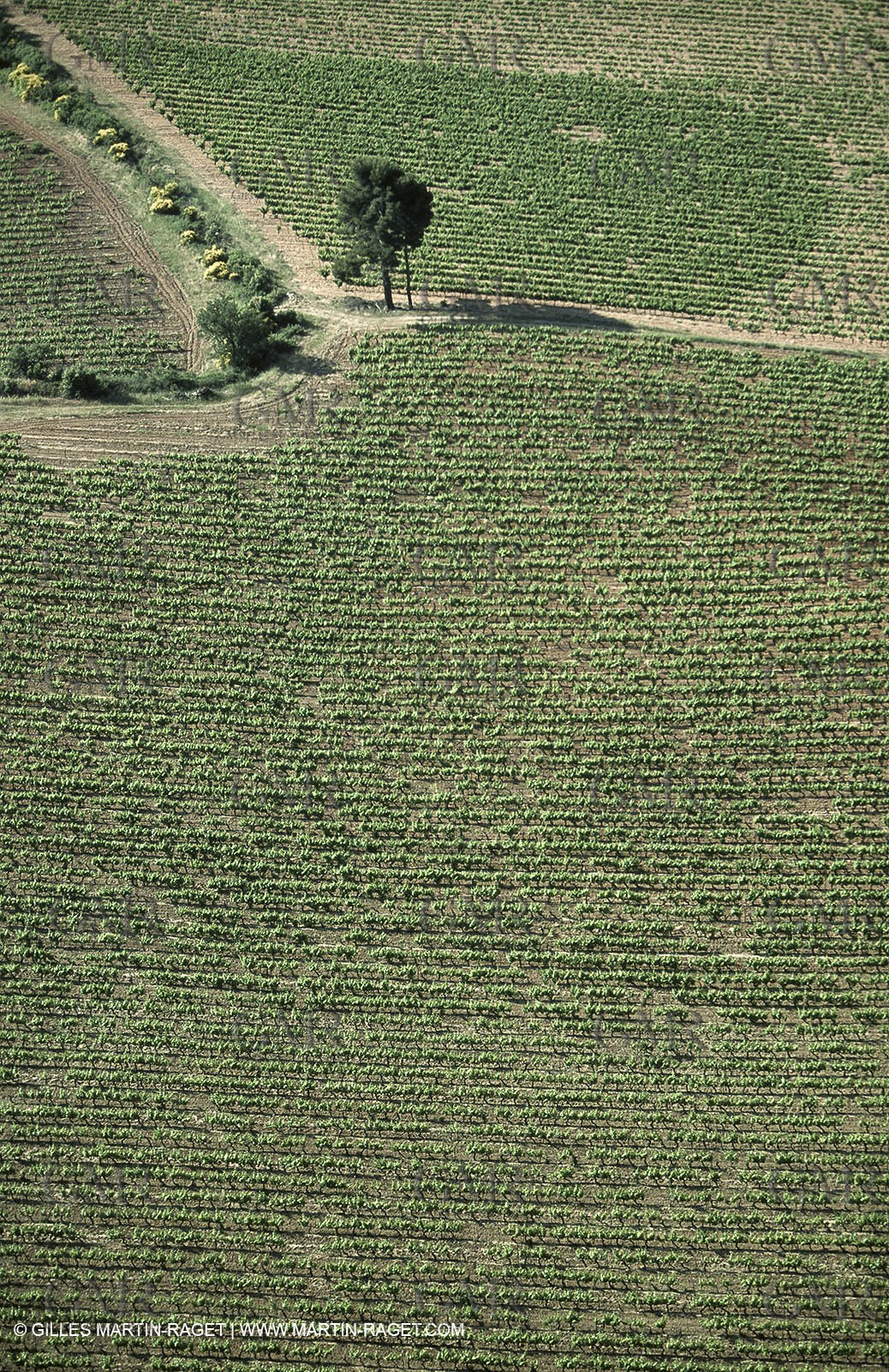 Aix en Provence area - Puyloubier