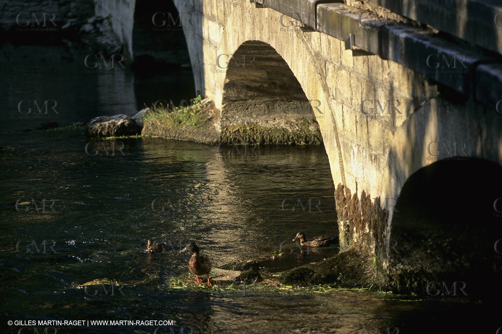 L'isle sur Sorgues (FRA,84)