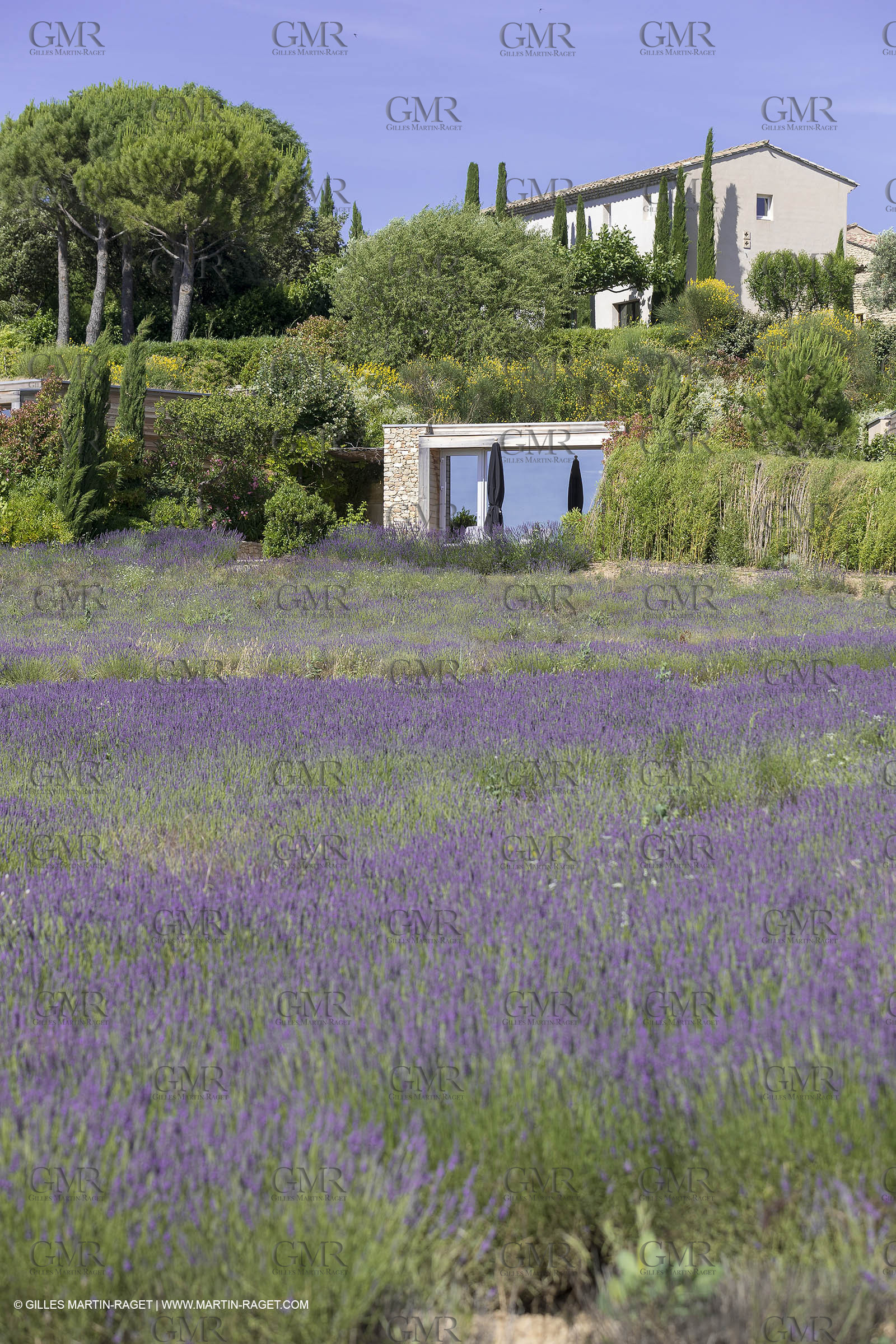 22 06 2018, Saint-Saturnin les Apts (FRA,84), Domaine des Andéols