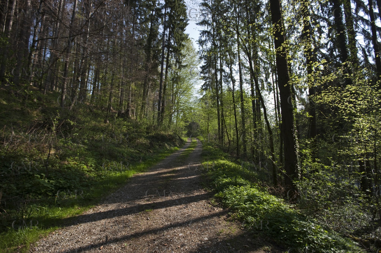 27 04 2010 - Gmunden (Lake Traunsee, Austria) - RC44 World Championship 2010 - BMW ORACLE Racing - Training